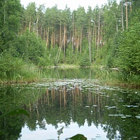 Карстовые озера Медведок 11...
